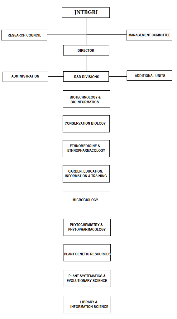 Organization Structure
